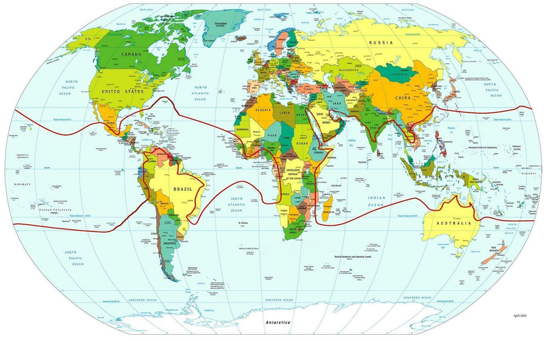 800px-Coconut_distribution