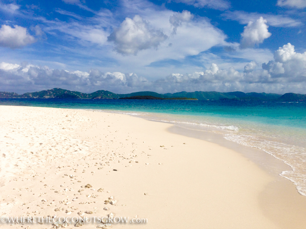 Sandy Spit-13
