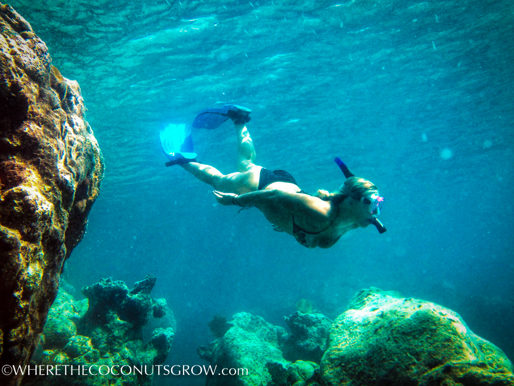 vg snorkeling-18