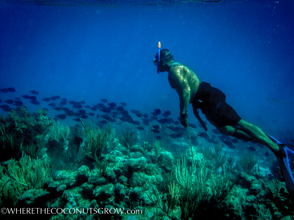 vg snorkeling-8