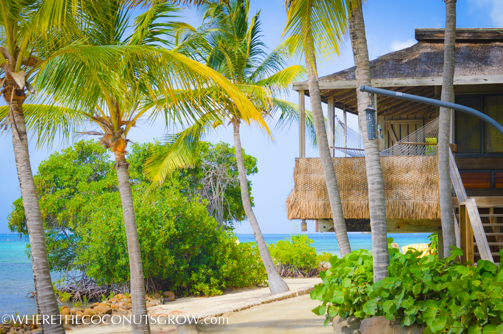 virgin gorda-19