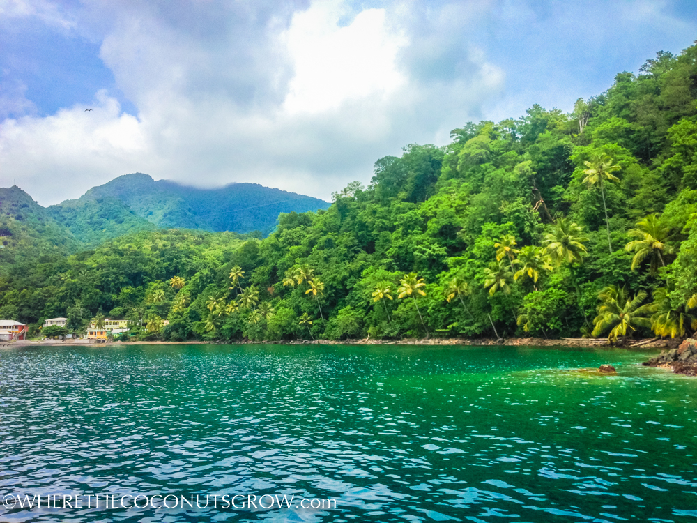dominica-2