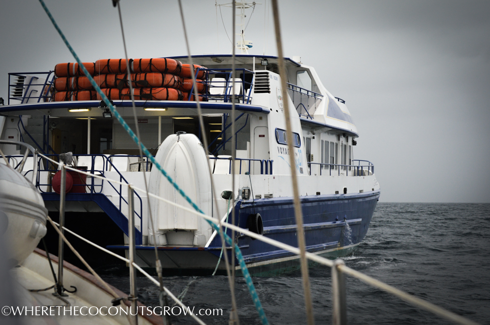 ferry-5