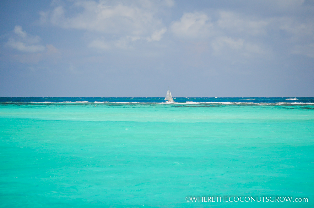 tobago cays-7