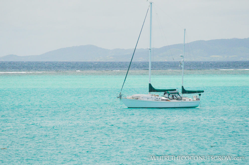 tobago cays-37